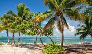 Florida beach.
